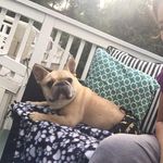 Stephen June Bruce - @june_bruce1111 - Instagram