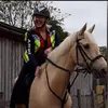 June Buckley - @june.buckley - TikTok