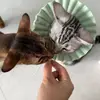junebuckley53388 - @junebuckley53388 - TikTok
