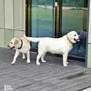 junebuckleyzl4836 - @junebuckleyzl4836 - TikTok