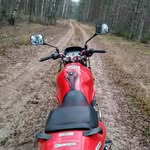 June Budd - @unity6017a - Instagram
