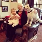 June Burrows - @juneburrows - Instagram