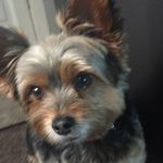 June burt - @juneburt1956 - Instagram
