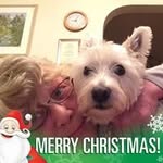June Burtonshaw - @juneburtonshaw - Instagram