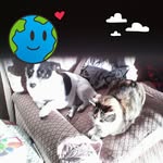 June Butterfield - @junebuttfield - Instagram