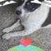 June Butterfield - Facebook