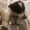 June Butterfield queenie - @june.butterfield - TikTok
