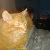 junebyron  - @junetbyron - TikTok