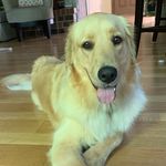 Honey June Calvert - @sweetashoneyjune - Instagram