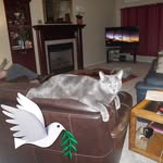 June Cantrell - @junecantrell46 - Instagram