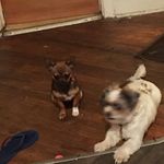 June Carrington - @junecarrington367 - Instagram