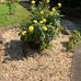 June Chaney - Facebook