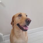June Chapman - @junechapman5523 - Instagram