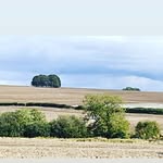 June Chapman - @june.chapman_celebrant_ - Instagram
