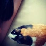 JuNe ChAu - @y2kpoohhk - Instagram