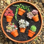 June  Ching - @june.ching.50 - Instagram