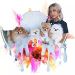 June Christensen - @glodiemenice - Instagram