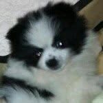 June Darsey Clements - @asia1953 - Instagram