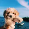 coco june - @coco.june5 - TikTok