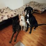 Tango & June & COco - @tango.june.coco - Instagram