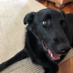 Cosmo & June Coffman - @cosmoandjunecoffman - Instagram