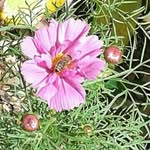 June Collard - @jo_1946 - Instagram