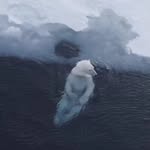 June Cormier - @watermakeseverythingbetter - Instagram