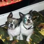 June Costello - @june_costello - Instagram