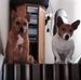 June Cronin - Facebook
