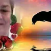 June Crossley - @june.crossley - TikTok