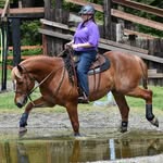 June Culbertson - @juni_buggie - Instagram