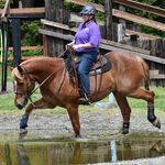 June Culbertson - @juni_buggie - Instagram
