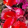 J woman - @june.cunningham0 - TikTok