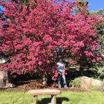 June Currie - @currie_june - Instagram
