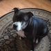 June Currier - Facebook