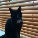 June Dalton - @junedalton999 - Instagram