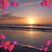 June Darnell - Facebook