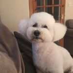 June Davidson - @junedavidson71 - Instagram