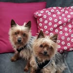 June Davies - @june.davies.560 - Instagram