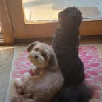 Sam & June DeLuca-Veatch - @sam_and_june - Instagram