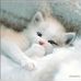 June Denney - Facebook