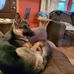 June Densmore - Facebook