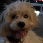 June Denton - @junipercat99 - Instagram