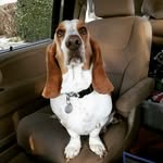 June Denton Hanson - @junedhanson - Instagram
