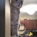 June Dunton - Facebook