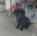 June Devries - Facebook