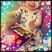 June Dickinson - Facebook