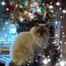 June Diehl - Facebook
