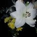 June Dooley - Facebook