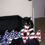 June Dooley - @junedooley57 - Instagram